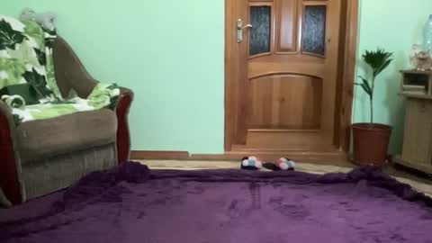 proud sweet 21 online show from September 8, 9:58 pm