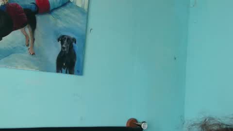 prxscillia_tx online show from November 6, 1:45 pm