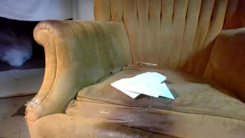 Snapshot of pspee313 chatting on February 28, 2:40 pm pspee313 online show from February 28, 2:40 pm