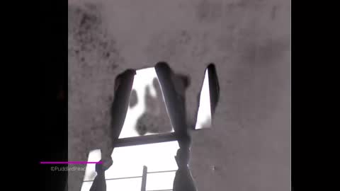 Snapshot of puddled_wonderland chatting on January 6, 1:52 pm puddled_wonderland online show from January 6, 1:52 pm