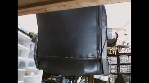 pudgy online show from November 11, 6:46 am