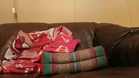 pulepower online show from November 2, 8:17 am