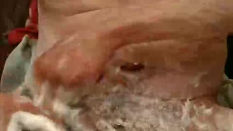 pulepower online show from November 23, 9:09 am