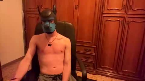 Snapshot of pup_toby chatting on November 3, 10:32 pm Toby online show from November 3, 10:32 pm