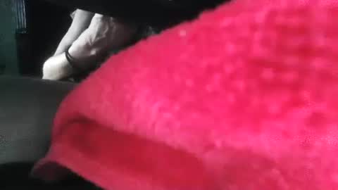 Puppah626  Phoenyx 39s Room online show from January 1, 5:00 pm