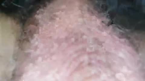Puppah626  Phoenyx 39s Room online show from January 1, 8:04 pm