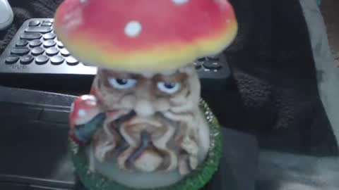 Puppah626  Phoenyx 39s Room online show from January 15, 7:05 am
