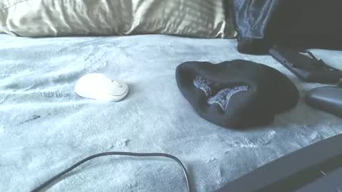 Puppah626  Phoenyx 39s Room online show from January 17, 6:44 pm