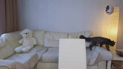 Jesse online show from October 23, 5:40 am