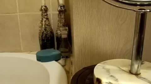 Snapshot of purecharismacpl chatting on February 20, 10:21 pm purecharismacpl online show from February 20, 10:21 pm