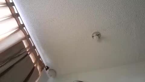 pussy_happy0 online show from December 3, 7:55 pm