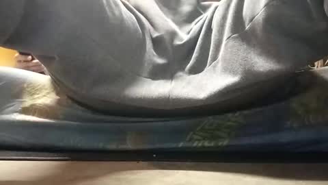 pussylver21 online show from January 16, 2:04 am