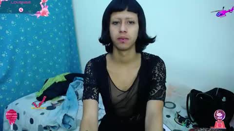 putinaicolls online show from November 14, 5:06 am