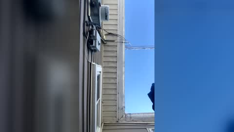 pyrex8 online show from February 10, 2:32 pm