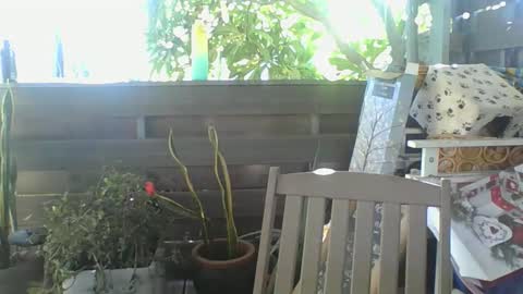 Python online show from February 2, 4:05 am