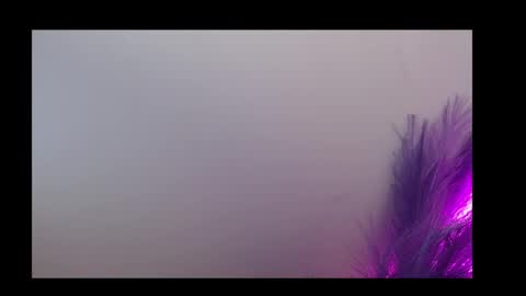 Queen Rosee  online show from February 5, 12:59 am