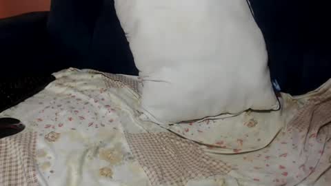 Snapshot of queenchloe1 chatting on July 20, 10:50 am queenchloe1 online show from July 20, 10:50 am