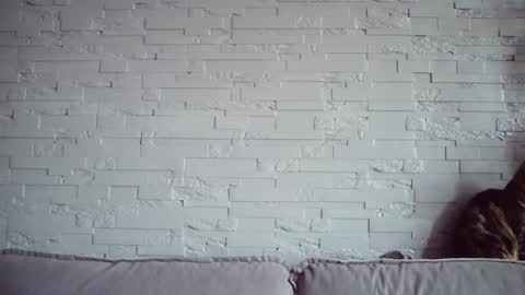 Snapshot of queenofmodels chatting on November 17, 6:08 am QueenOfModels online show from November 17, 6:08 am