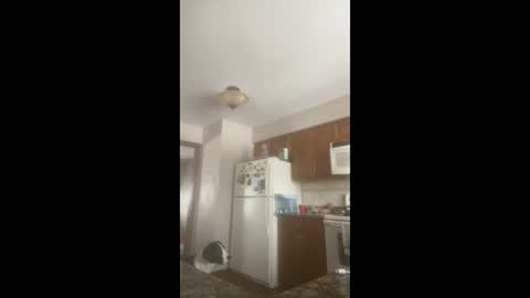 rabbi_poolnoodle online show from January 16, 7:51 pm