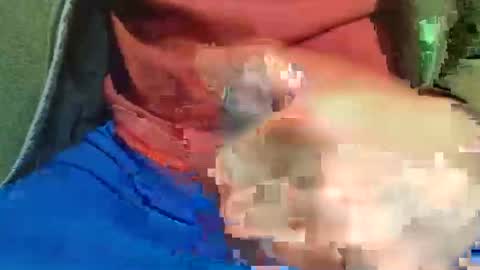 Raccoon68 online show from May 1, 7:51 pm