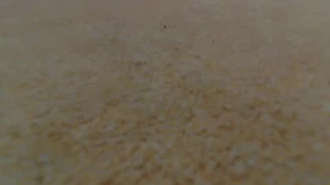 Snapshot of racefliege chatting on January 14, 6:02 am racefliege online show from January 14, 6:02 am