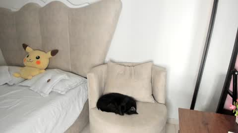 natalia  -  online show from December 17, 8:12 am