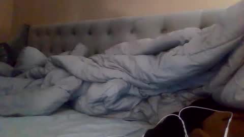 ranamoutranierid12 online show from January 19, 4:01 am