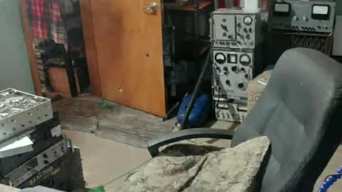 Randall online show from July 15, 7:52 pm
