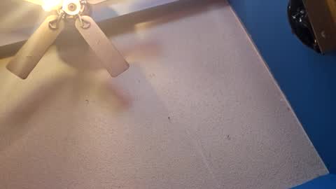 Snapshot of randcandy77 chatting on November 11, 4:51 pm Randcandy77 online show from November 11, 4:51 pm