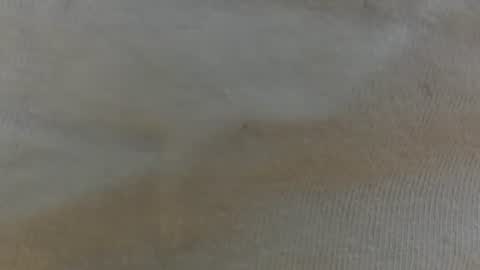 randytoy online show from June 29, 5:03 am