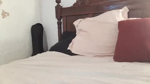 Snapshot of ranthanplan46 chatting on February 7, 12:17 pm Ran online show from February 7, 12:17 pm