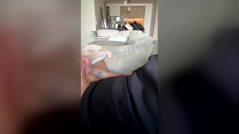 ratatou786852 online show from May 1, 8:02 pm