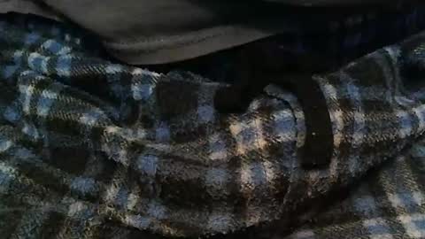 Snapshot of ratlesnk chatting on November 16, 9:37 am boneifyed online show from November 16, 9:37 am