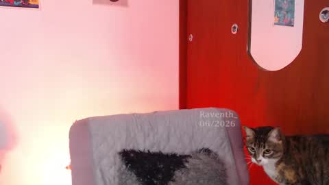 Snapshot of raventh_ chatting on July 2, 5:57 am raventh_ online show from July 2, 5:57 am