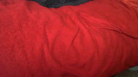 Snapshot of raymondo1964 chatting on November 12, 11:47 pm raymondo1964 online show from November 12, 11:47 pm