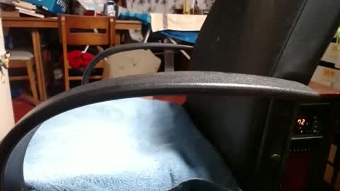 Ray online show from November 4, 12:04 pm