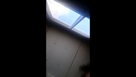 realisararebreed online show from December 21, 5:42 pm