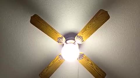 red24devils online show from November 21, 1:04 am