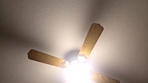 red24devils online show from December 3, 5:04 am