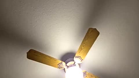 red24devils online show from March 5, 1:56 am