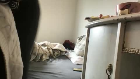 Redfox online show from March 15, 10:54 am