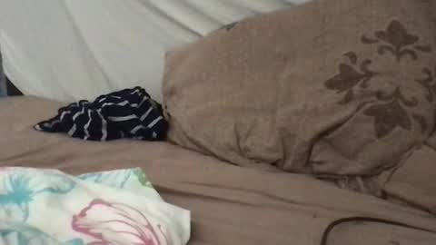 Redfox online show from July 4, 9:59 am