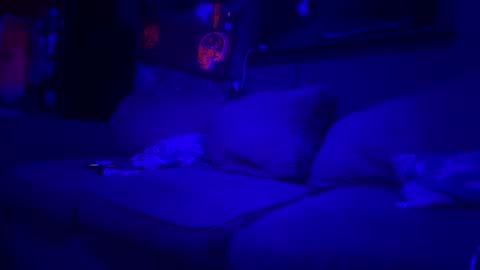 Lee online show from March 10, 1:54 am