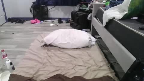 Snapshot of remshotdt chatting on February 24, 4:26 pm remshotdt online show from February 24, 4:26 pm