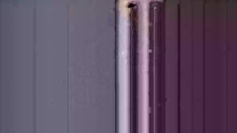 ReneIce online show from January 15, 7:06 pm