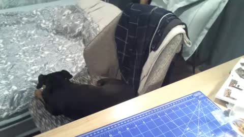 Snapshot of reunionussr chatting on November 16, 4:45 pm reunionussr online show from November 16, 4:45 pm