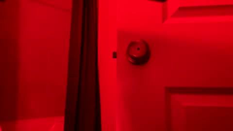 Snapshot of rgbtx86 chatting on October 8, 7:17 am Ryan Gold online show from October 8, 7:17 am