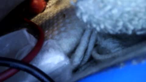 rgglen986 online show from February 14, 2:36 pm