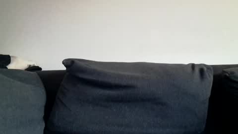 Snapshot of rhymes2479 chatting on March 31, 6:03 am Shaved cock ready online show from March 31, 6:03 am