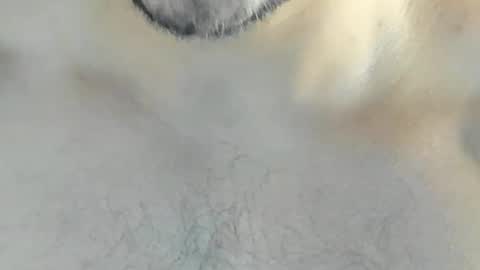ricardogonzalez666 online show from December 10, 4:24 am